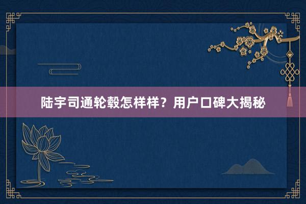 陆宇司通轮毂怎样样？用户口碑大揭秘