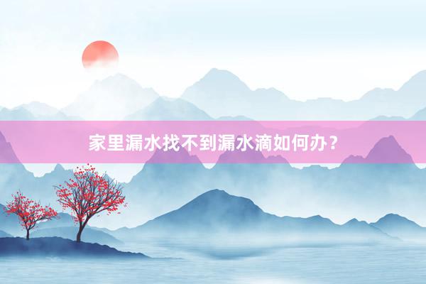 家里漏水找不到漏水滴如何办？
