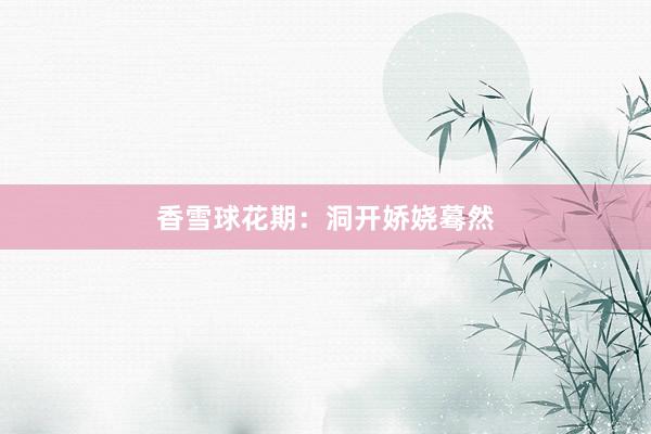 香雪球花期：洞开娇娆蓦然
