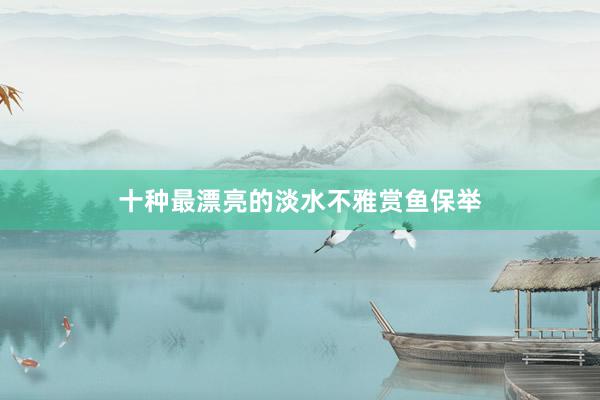 十种最漂亮的淡水不雅赏鱼保举