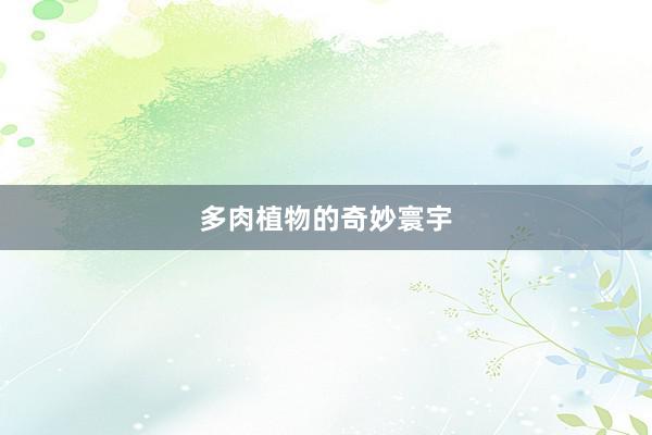 多肉植物的奇妙寰宇